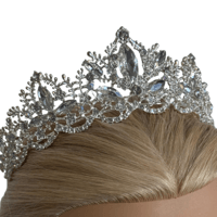 Image 1 of The “Adira” Crown Hairpiece 