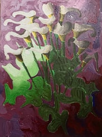 Image 2 of “Arum Lilly study”