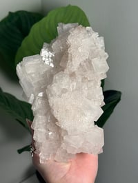 Image 2 of XL WHITE HALITE -MOROCCO- A