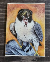 Image 5 of Bird Stickers