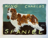 Image 1 of King Charles Spaniel