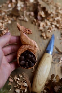 Image 6 of Fox Coffee Scoop 