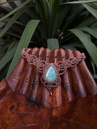 Image 1 of amazzonite 🌿