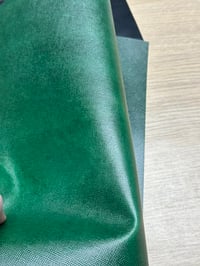 Image 1 of Custom green Rally x NL