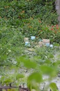 Image 2 of Build-a-bundle in Mint Chip