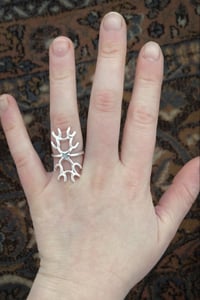 Image 1 of Radiolaire 1