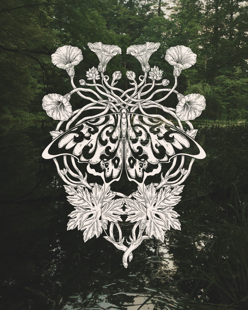 Image of Moth Talisman Crewneck