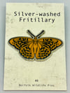 Silver-washed Fritillary - #8 - Norfolk Wildlife Series - SB Photography