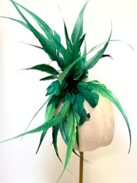 Image 1 of Teal/jade  feathers 