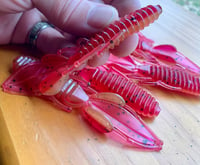 Image 3 of 4" Stingers - CRICK CRAW