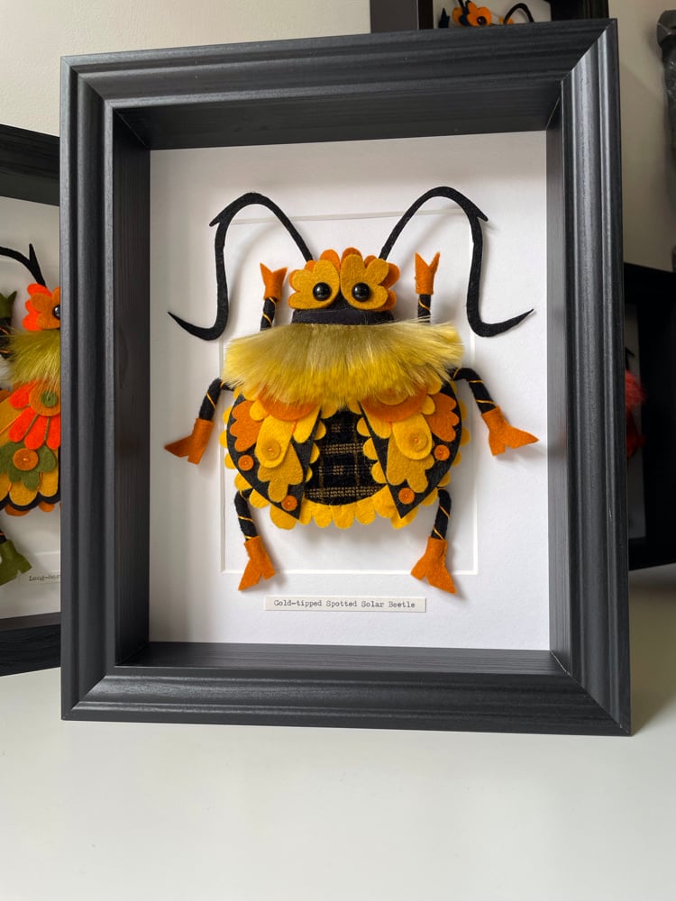 Image of Gold-tipped Spotted Solar Beetle
