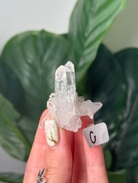 Image 4 of SMALL COLOMBIAN QUARTZ CLUSTERS WITH CHLORITE