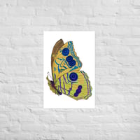 Image 5 of Butterfly Print