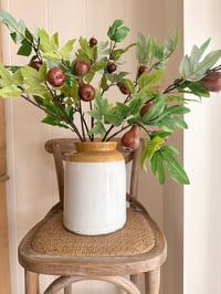 Image 2 of Luxury Fig Branches ( 3 included )