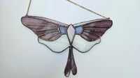 Image 2 of Purple moth