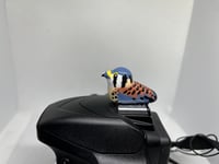 Image 4 of American Kestrel Hotshoe Cover