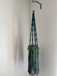 Image 1 of Green Fringe Plant Hanger 