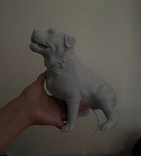 Image 2 of Pet lamps