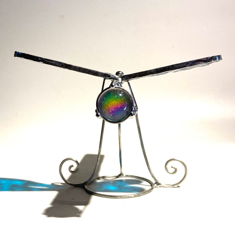 TranZenDance Image 4