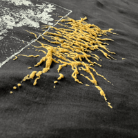 Image 2 of Honey Thrash Boxy Tee - L
