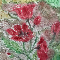 Image 4 of Poppies 