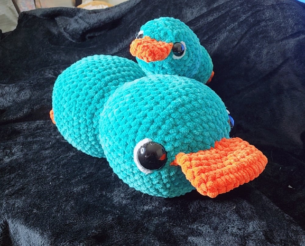 Image of Platypus 