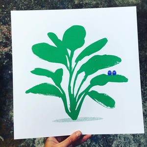 LITTLE PLANT 2 - Limited Edition Green and Blue