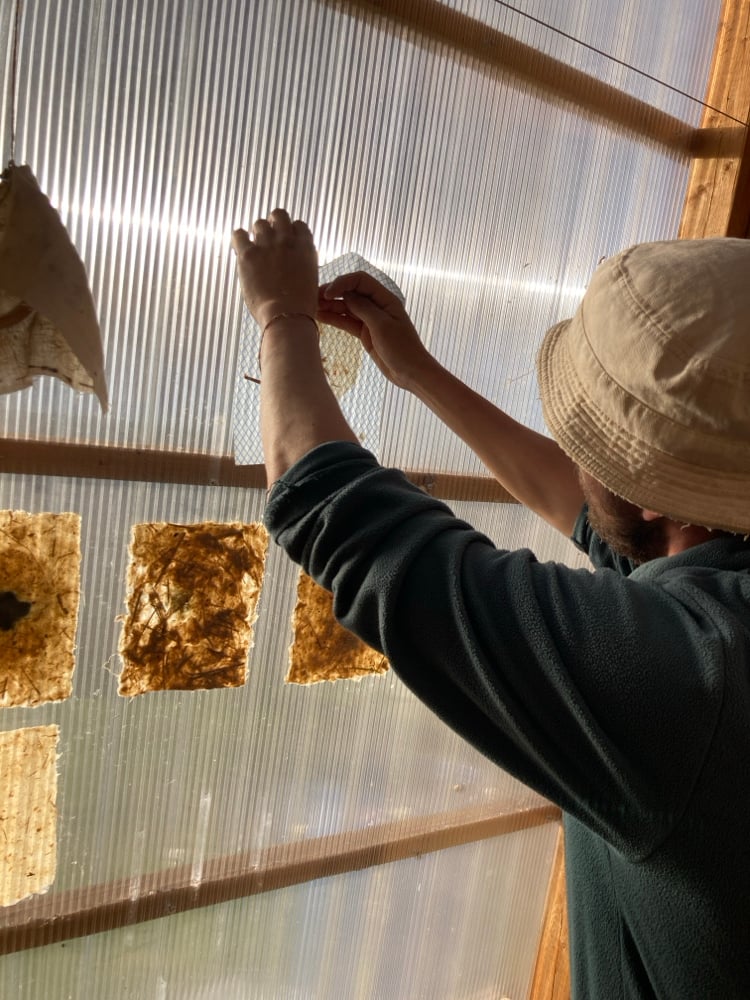 Image of Papermaking workshop