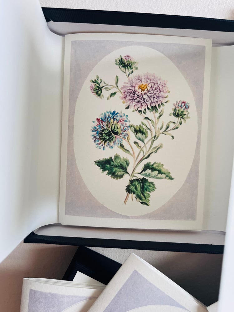 Image of 6_FLOWERS