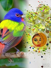 Image 1 of Bunting Love 