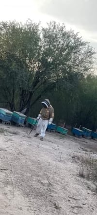 Image 4 of Miel Oscura del Huerto  