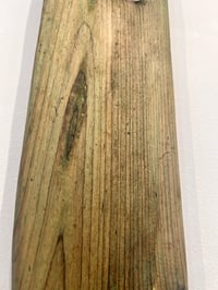 Image 5 of Wisdom of the Forest- Tonya Rund