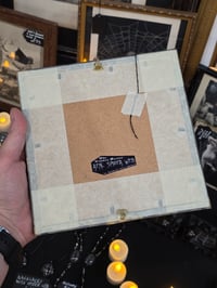 Image 3 of "Pentagram" 1800's bible page with preserved spider web - Black frame 1