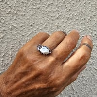 Image 3 of Pretty Pearl, US 6.5