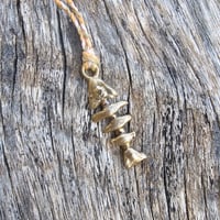 Image 1 of Bone Fish