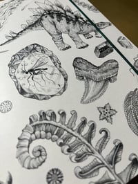 Image 4 of Notebooks