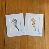 Seahorse - Colour/B&W Giclee Prints