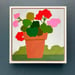 Image of Summer Geraniums 