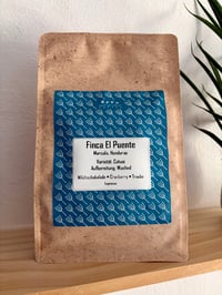 Image 1 of Honduras - Finca El Puente - Washed Catuaí - Espresso