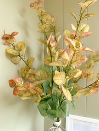 Seasonal Eucalyptus ( 3 Sprays )