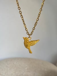 Image 2 of Collares de animales