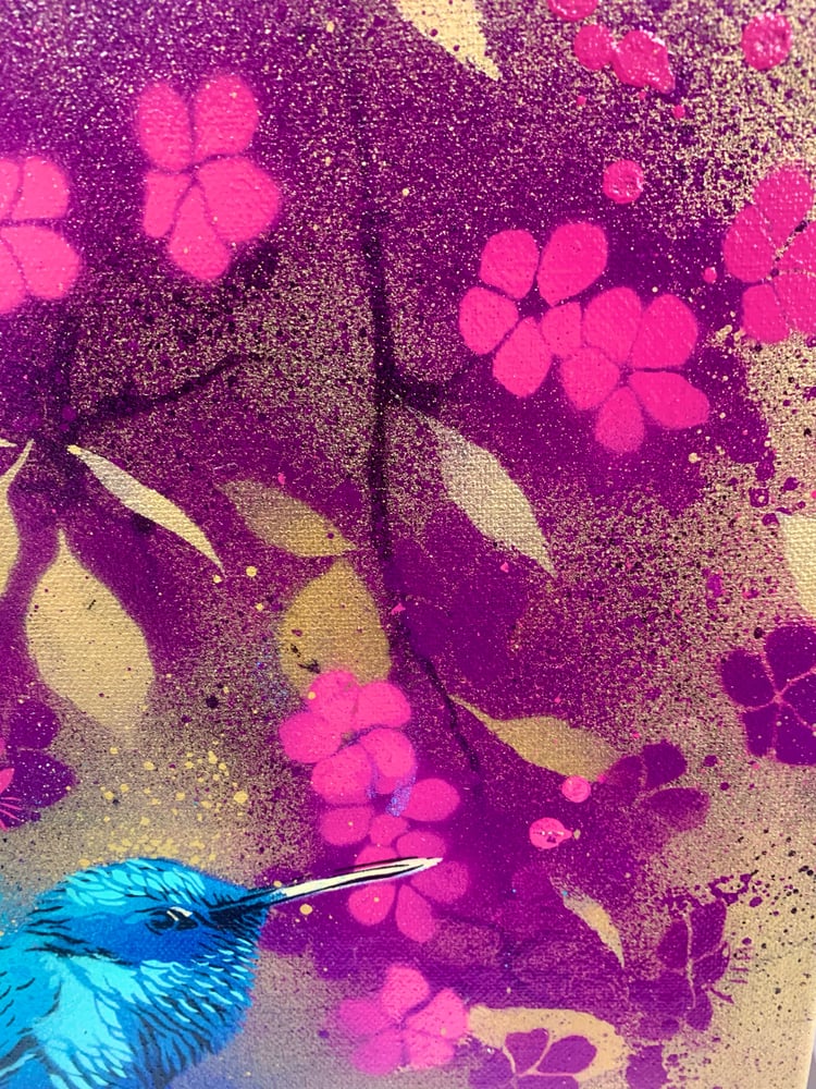 Image of Hummingbird And Blossom