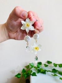 Image 3 of 🤍Mismatch Pearly Narcissus🤍