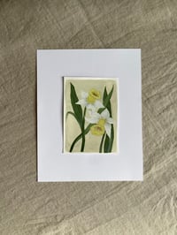 Image 2 of Katie - Daffodils 