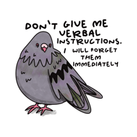 Verbal Instructions Sticker