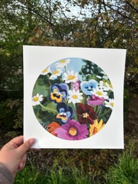 Image 1 of “White Rabbit” Print