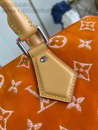 Image 14 of LV Pharrell Velvety Speedy