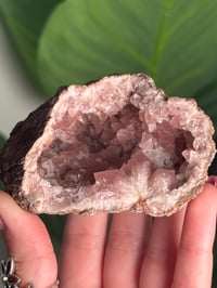 Image 2 of HQ PINK AMETHYST GEODE -ARGENTINA- L