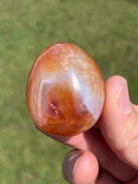 Image 5 of Carnelian Polished Agate 5 Piece Lot #2230