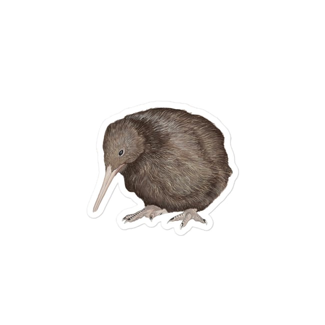 3 Inch Baby Kiwi Sticker